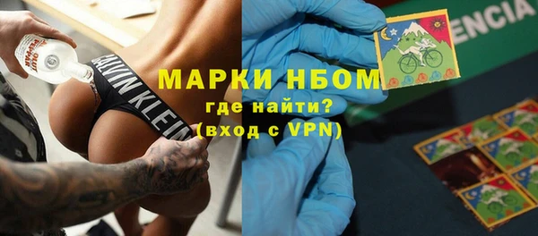 шишки Алзамай