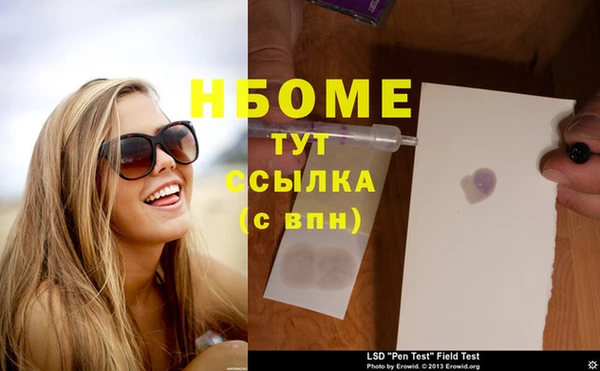 шишки Алзамай