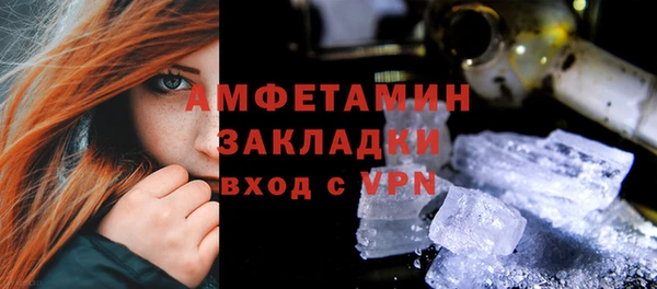 шишки Алзамай